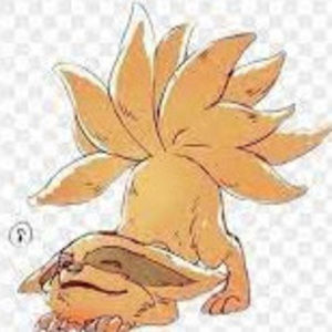 Meet your Posher, Jaxson